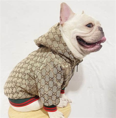 gucci french bulldog jacket|Gucci dog coats.